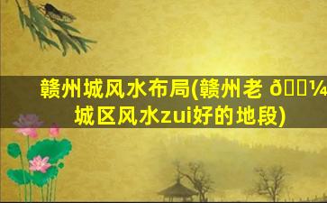 赣州城风水布局(赣州老 🌼 城区风水zui
好的地段)